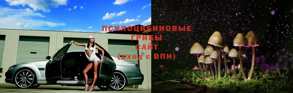 стаф Беломорск
