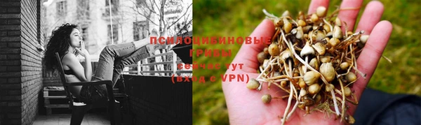 дистиллят марихуана Белокуриха