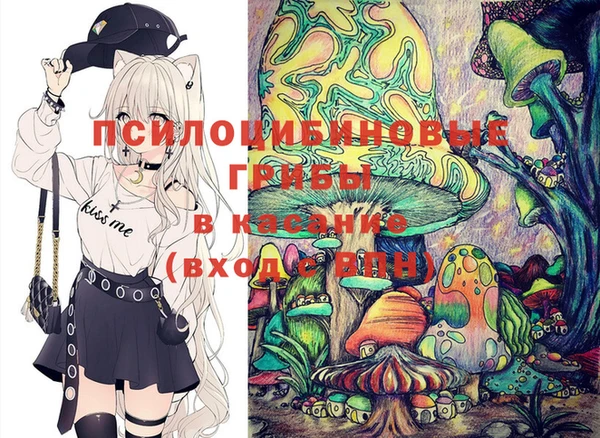 стаф Беломорск