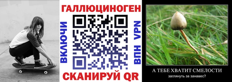KRAKEN ТОР  Волчанск  Псилоцибиновые грибы Magic Shrooms 